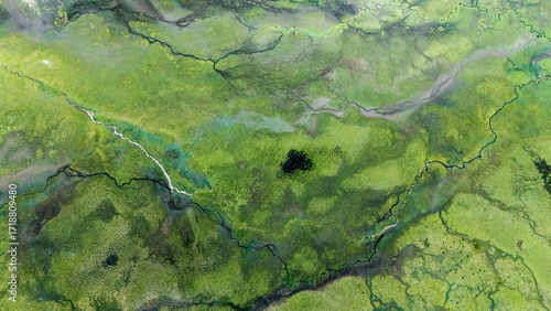 aerial view of wetland