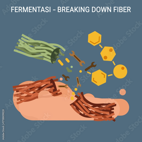 Fiber Breaking Down Visualization for Scientific Understanding, Illustrating Fermentation Process with Molecular Structure and Tools, Ideal for Educational Materials