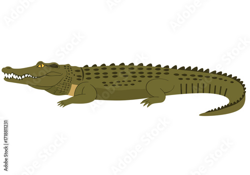 A green cartoon crocodile lies facing left displaying its teeth and scales