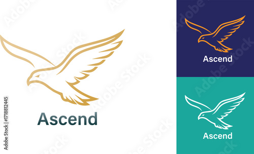Golden Eagle Logo Design. Stylized golden eagle logo design shown in three color variations gold, 
white, and orange. This logo features a golden eagle in flight