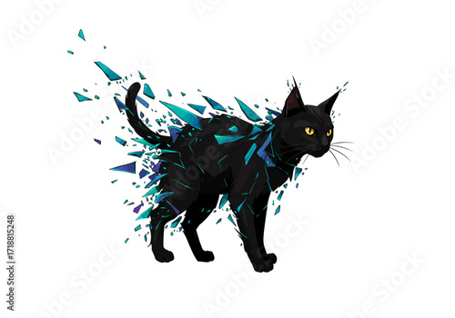 Black Cat with Shattered Glass Design.