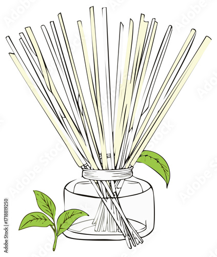 Aromatherapy diffuser with reeds and green leaves in a glass bottle