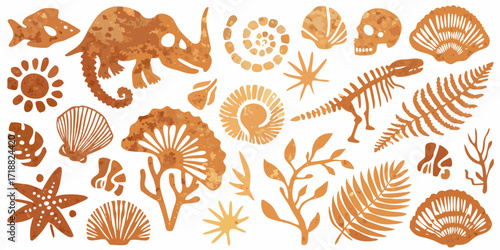 Collection of ancient fossils and prehistoric elements in warm orange tones on a white background