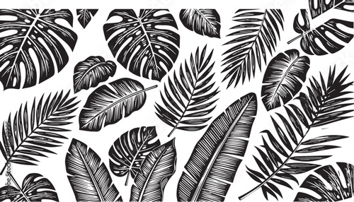 Black and white hand-drawn tropical leaves collection in a vintage engraving style. Detailed vector botanical illustration of exotic jungle plants like monstera and palm leaf.eps