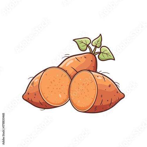 Sweet potatoes with a white background