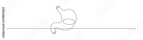 Continuous Line Drawing of Stomach Human Organ Illustration