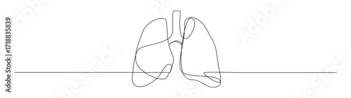 Single Continuous Line Art of Human Lungs