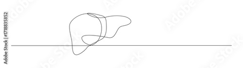 Human Liver One Line Art, Continuous Contour