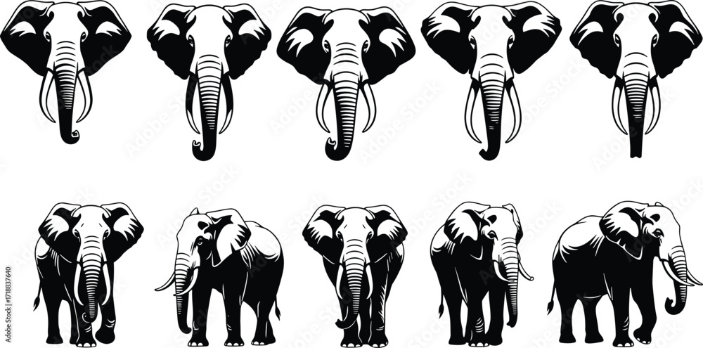 Fototapeta premium Collection of elegant elephant illustrations, black and white animal graphics, wildlife vector art, perfect for logos, tattoos, designs, and nature themes