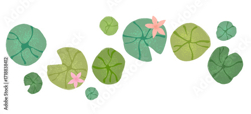 Lily pads, isolated flat lotus leaf and flowers hand drawn illustration, crayon texture in transparent background