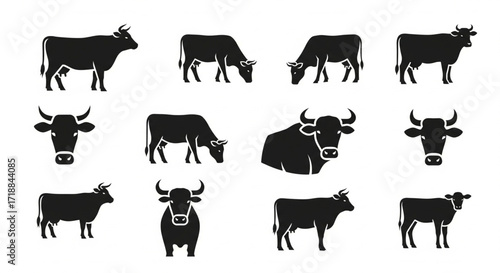 Silhouette collection of various cows in different poses, grazing, standing and facing forward.