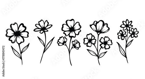 Elegant floral line art collection for wedding invitations, stationery, or branding designs, bringing a touch of organic beauty and handcrafted charm