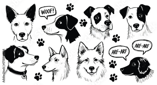 Charming hand-drawn collection of diverse dog portraits and playful paw prints evoking joy and companionship for animal lovers and pet businesses