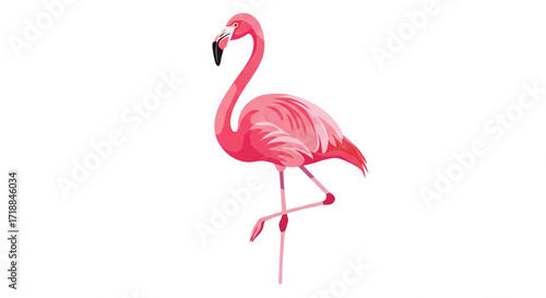 A pink flamingo stands gracefully on one leg, its long neck curved in an elegant pose against a white background.