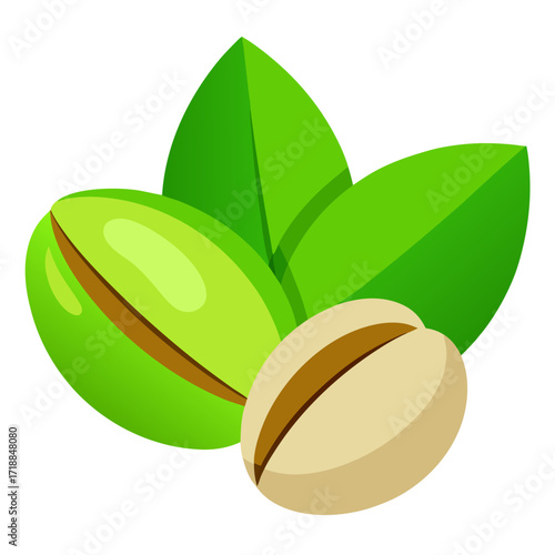 Pistachio nuts with green leaf vector on white background.