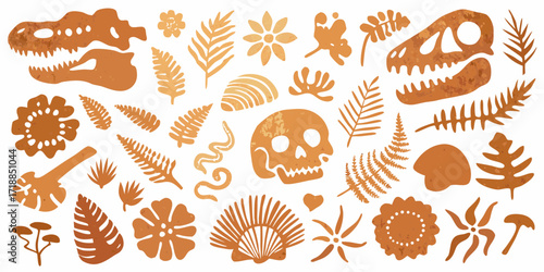 Collection of stylized dinosaur skulls human skulls plants flowers shells and snakes in warm orange and beige tones