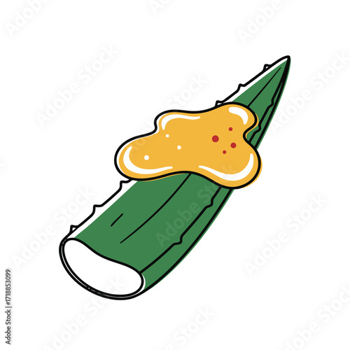 Vector art of aloe vera leaf with gel and spices