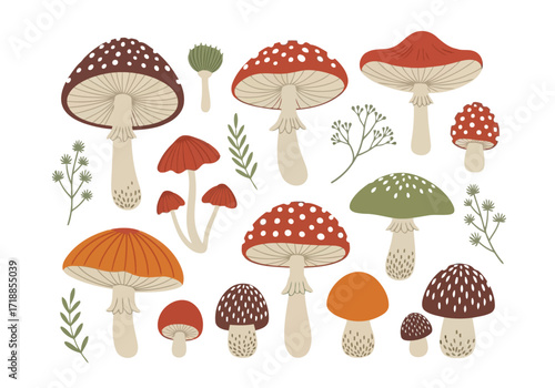 Vector illustration of illustration of collection of various colorful mushrooms