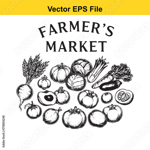 Vector art of farmers market produce illustration