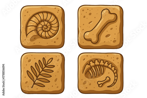 Fossil imprints set with ammonite, dinosaur skeleton, bone, and plant leaf. Archeological dig icons for paleontology. Prehistoric evolution rock engravings. Ancient history art.
