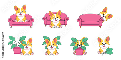 Cute Corgi Dog in Different Poses with Plants and Sofa Vector Illustration 