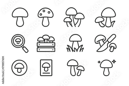 Mushroom line icon set. Vector symbols of fungi, foraging, mycology. Includes edible, amanita, magic mushroom concepts. Editable stroke for web, app, and print design.