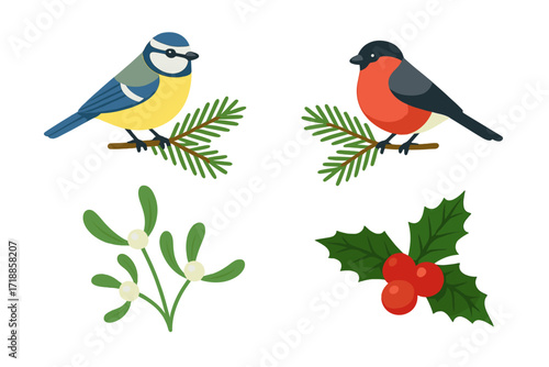 Christmas birds bullfinch and tit sitting on fir branches, festive mistletoe and holly berries isolated on white background, flat vector illustration, winter holiday botanical set