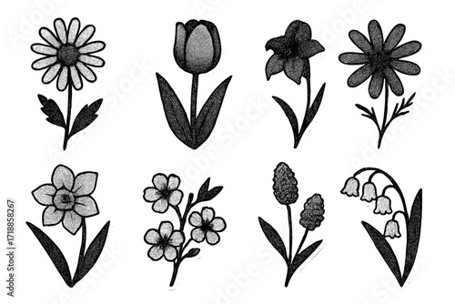 Monochrome halftone flower sticker set for scrapbooking and collage. Retro pop art floral elements collection. Vintage black and white cutout herbarium with daisy and tulip.