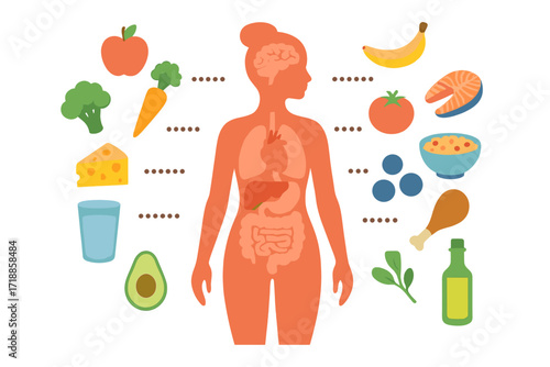 Healthy food for human body concept. Female silhouette with internal organs infographic. Nutrition for brain, heart, liver. Healthy eating and diet for wellness vector illustration.
