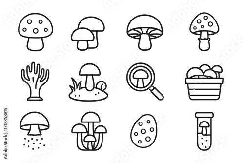 Mushroom line icon set. Fungi and mycology vector symbols. Foraging, food, science concepts. Outline graphics of champignon, amanita, truffle, spores, basket. Editable stroke.
