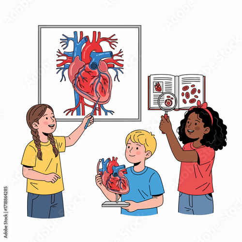 Children studying the human heart, using a diagram, model, and book to learn about anatomy.