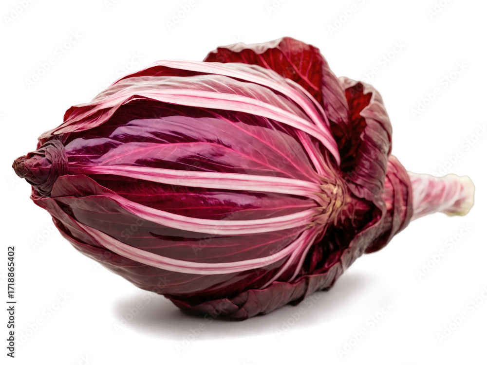 Obraz premium Radicchio (Cichorium intybus) A fresh head of radicchio wrapped in clear plastic. The deep red leaves are visible through the