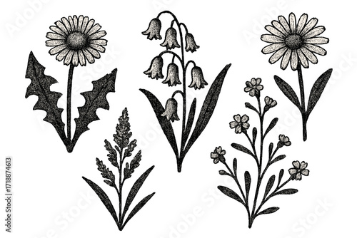 Vintage halftone collage of wild field flowers in retro stippling dotwork style. Decorative floral pattern with wild plants, pop art vector illustration of nature and garden elements.