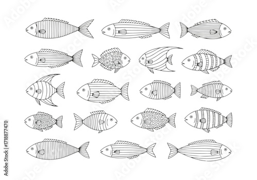 Vector illustration of illustration of collection of diverse fish species