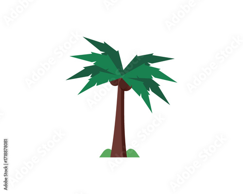 Coconut Palm Tree Vector 