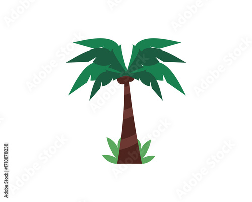 Coconut Palm Tree Vector