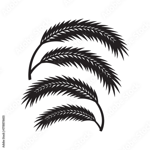  A set of black palm branch silhouettes isolated on a white background.