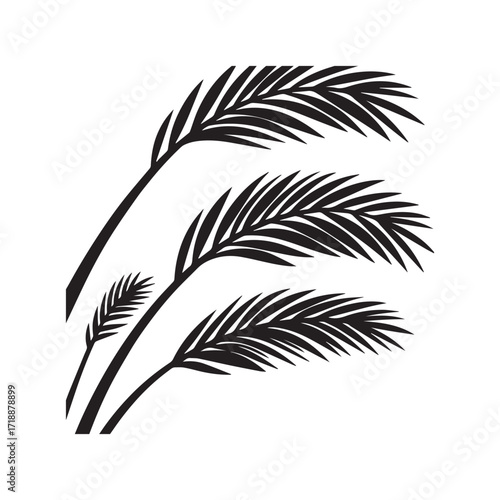  A set of black palm branch silhouettes isolated on a white background.
