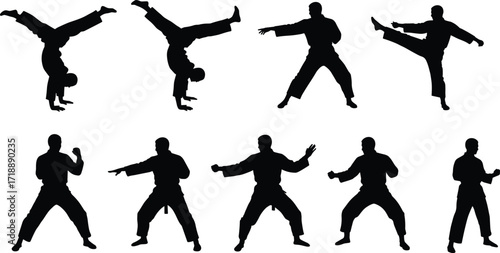 Martial arts silhouette poses, acrobatic stunts, dynamic movement, karate kick, kung fu stance, athletic training, body balance, sports choreography, fitness exercise,