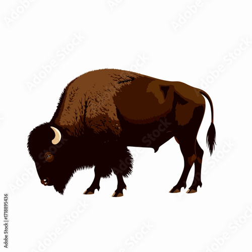 Majestic illustration of a powerful bison standing strong while showcasing its rugged fur, distinctive hump, and iconic curved horns in a natural artful depiction