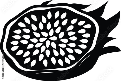 Black Silhouette of Cut Dragon Fruit with White Seeds on White Background