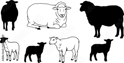 Sheep silhouette, Lamb standing silhouette, Sheep black icon vector
