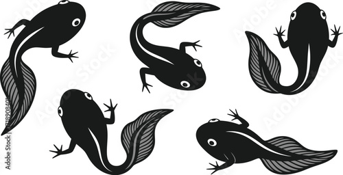 Illustration of several black tadpoles in various orientations editable stock