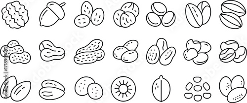 Assorted Nuts and Seeds Line Art Icons Collection food healthy