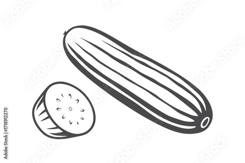 Cucumber Vegetable Outline Isolated with Cross Section on White Background