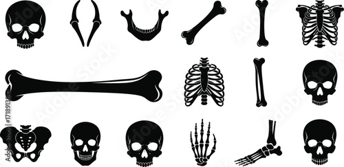 Human skeleton silhouette icons, featuring various bones for anatomical and educational designs