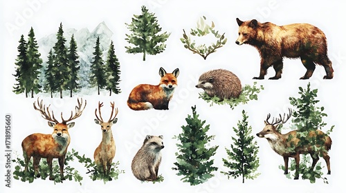 Fototapeta Naklejka Na Ścianę i Meble -  Watercolor forest animals and evergreen trees collection