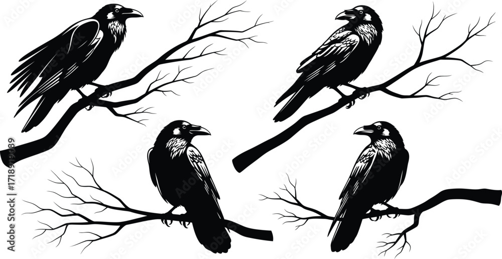 Fototapeta premium Four black ravens perched on bare branches in a stark graphic black and white art