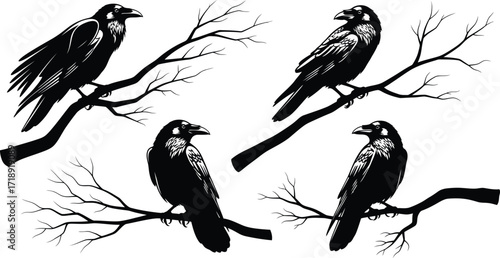 Four black ravens perched on bare branches in a stark graphic black and white art