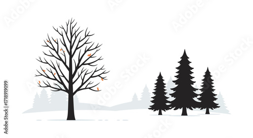Winter landscape featuring bare trees and distant evergreen silhouettes
